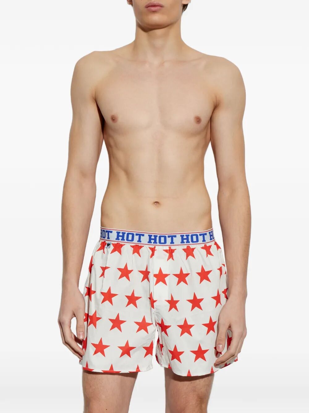 "Reach For the Stars" Boxer