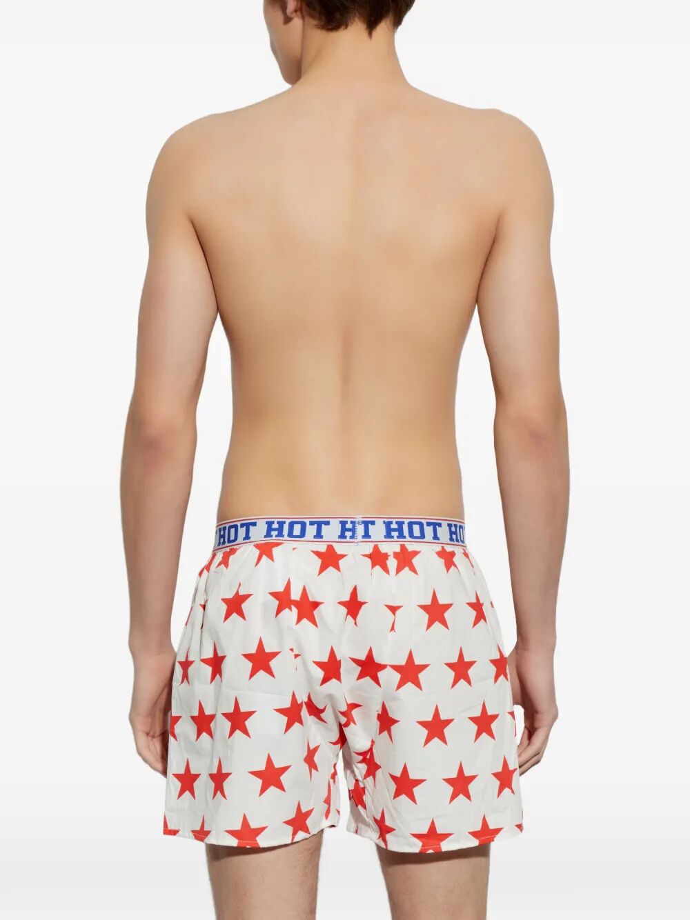 "Reach For the Stars" Boxer