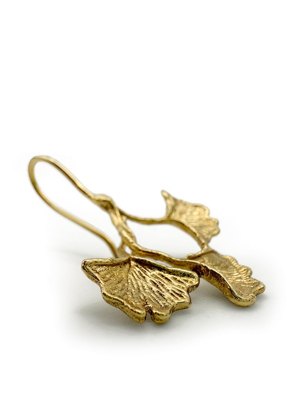 Ginkgo Sauvage
