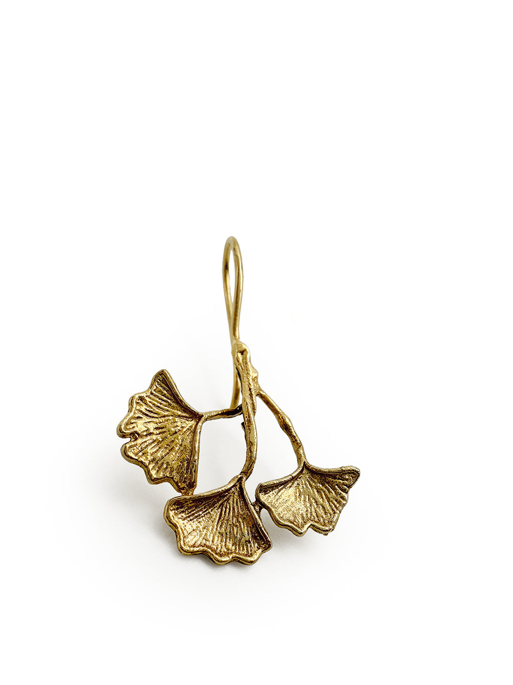 Ginkgo Sauvage